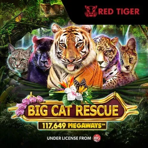 RTP Slot Gacor Red Tiger